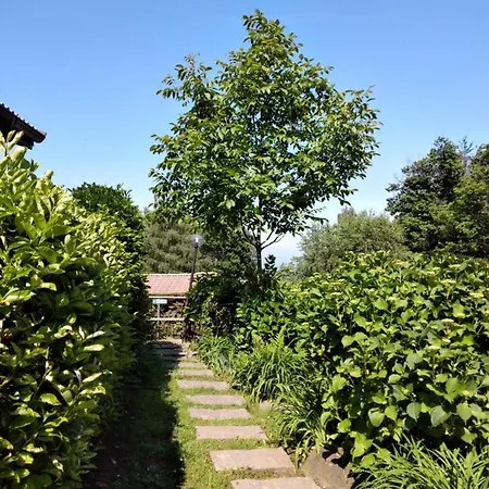 Maison Al Nocino Ferienhaus *