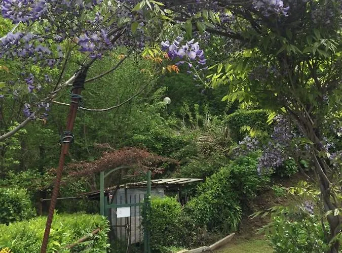 Maison Al Nocino Stresa